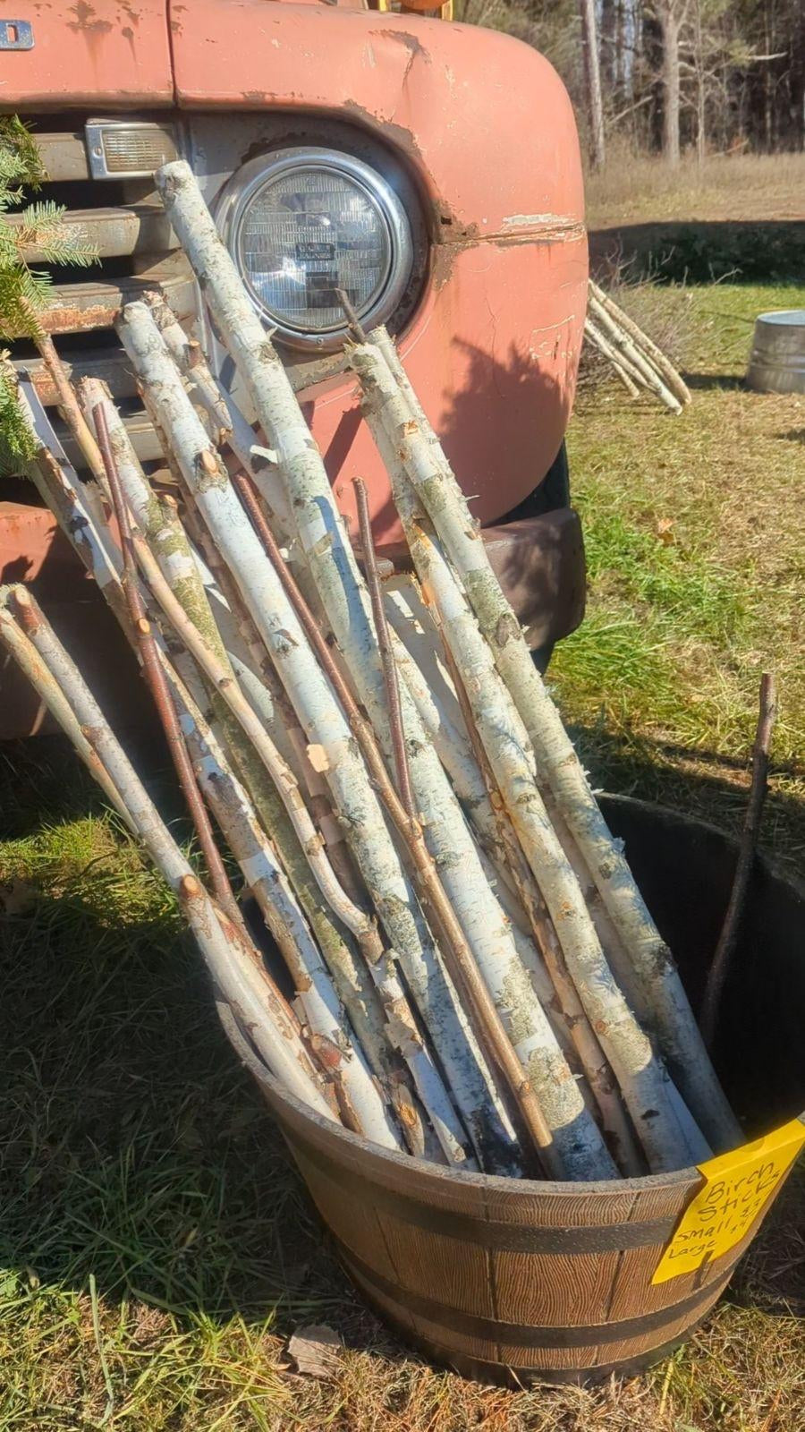 Birch Sticks