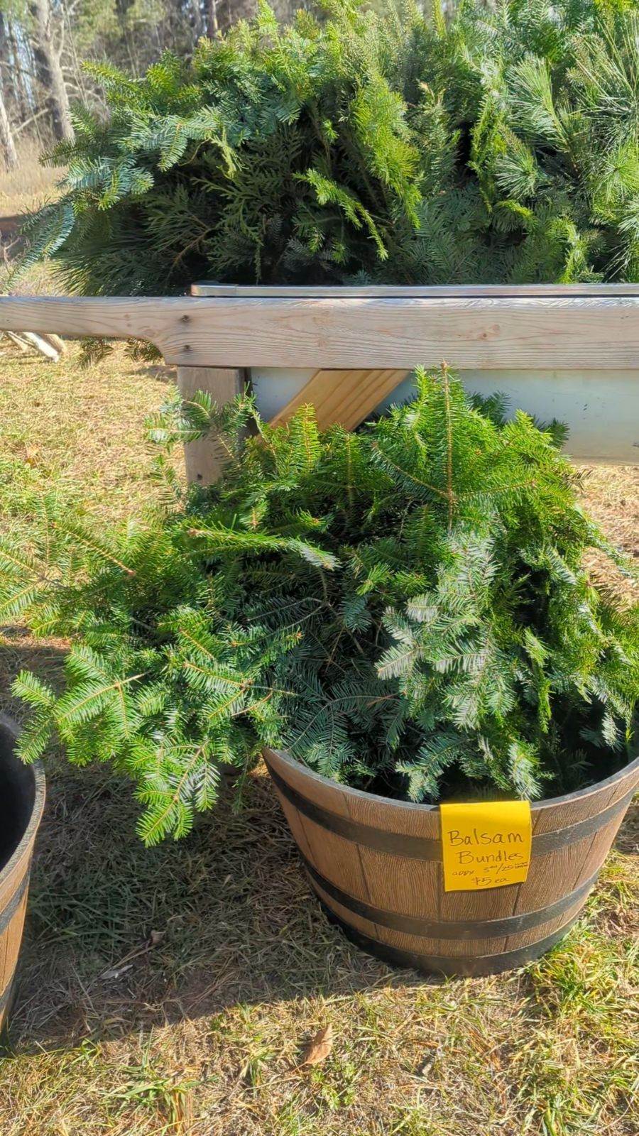 Balsam Bough Bundle