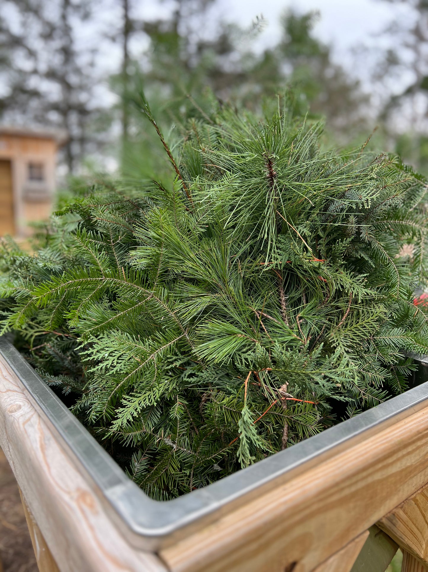 Mixed Greenery Bundle