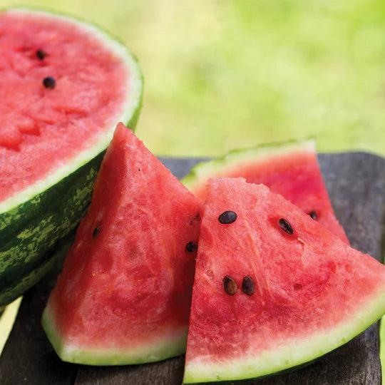 Cal-Sweet Watermelon Plant
