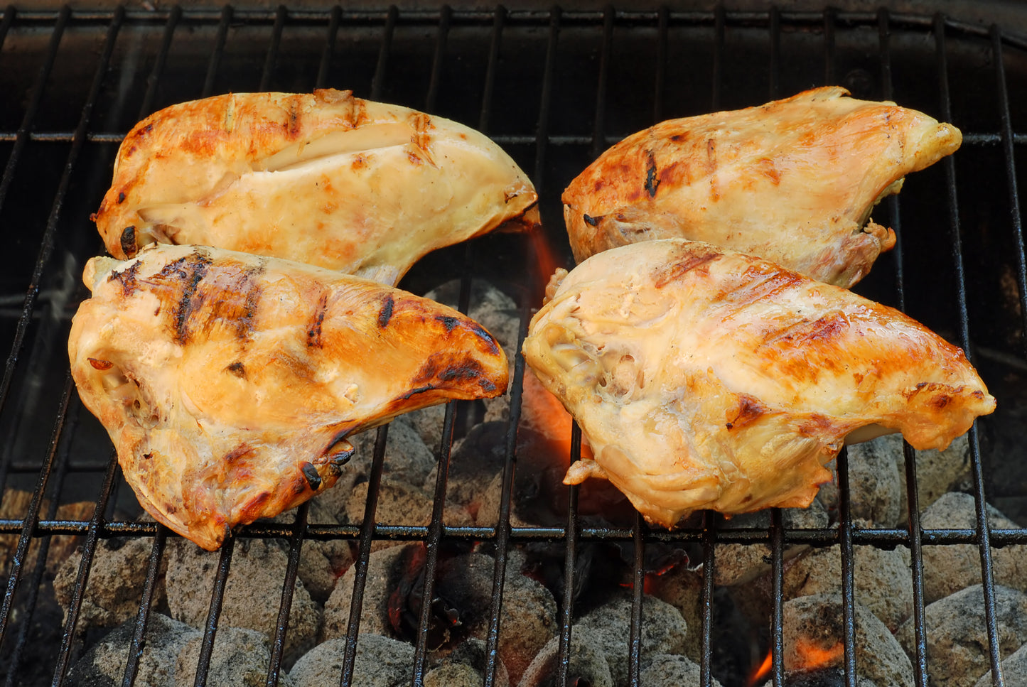 Chicken Breasts