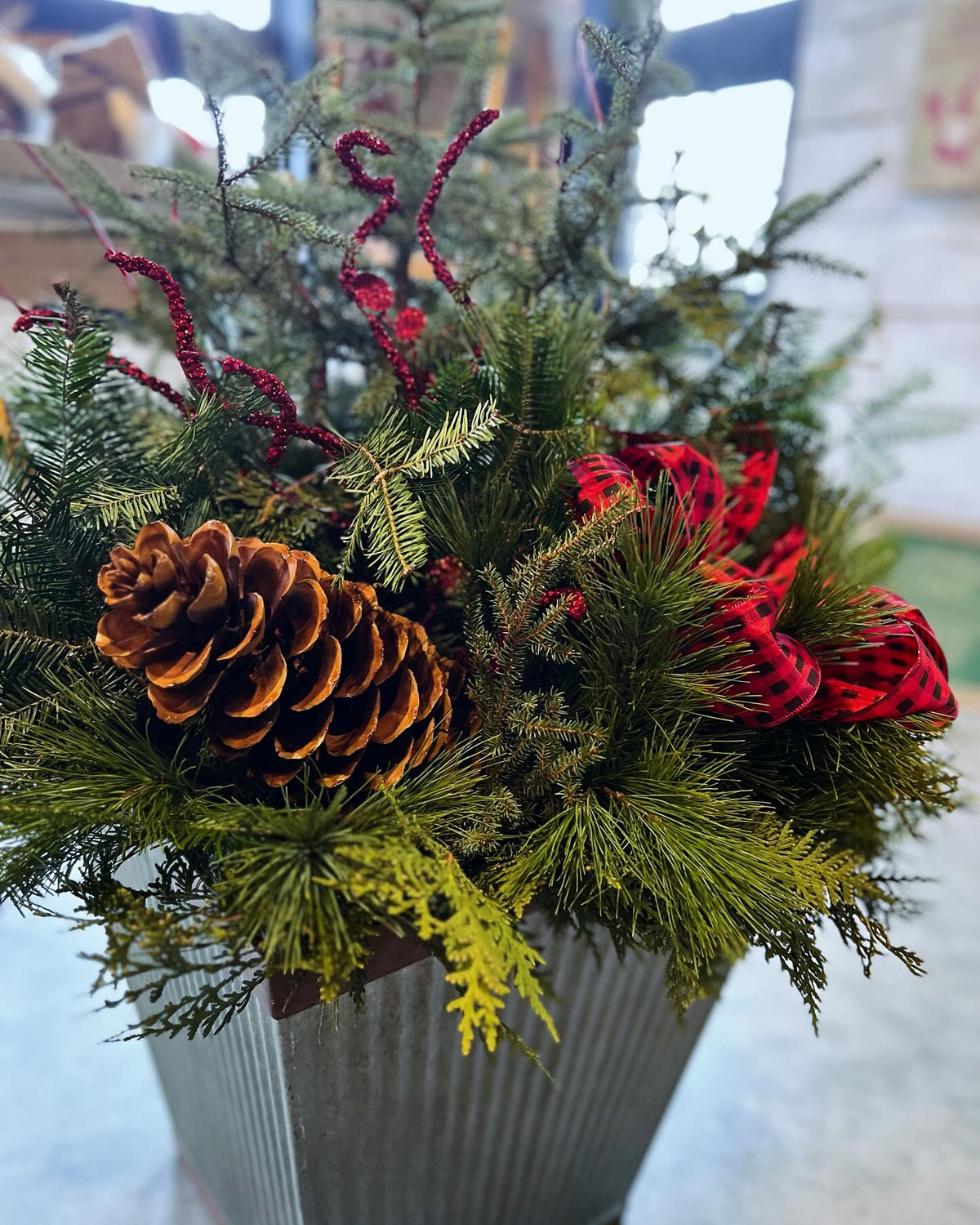 Porch Pot Workshop Sat 11/14
