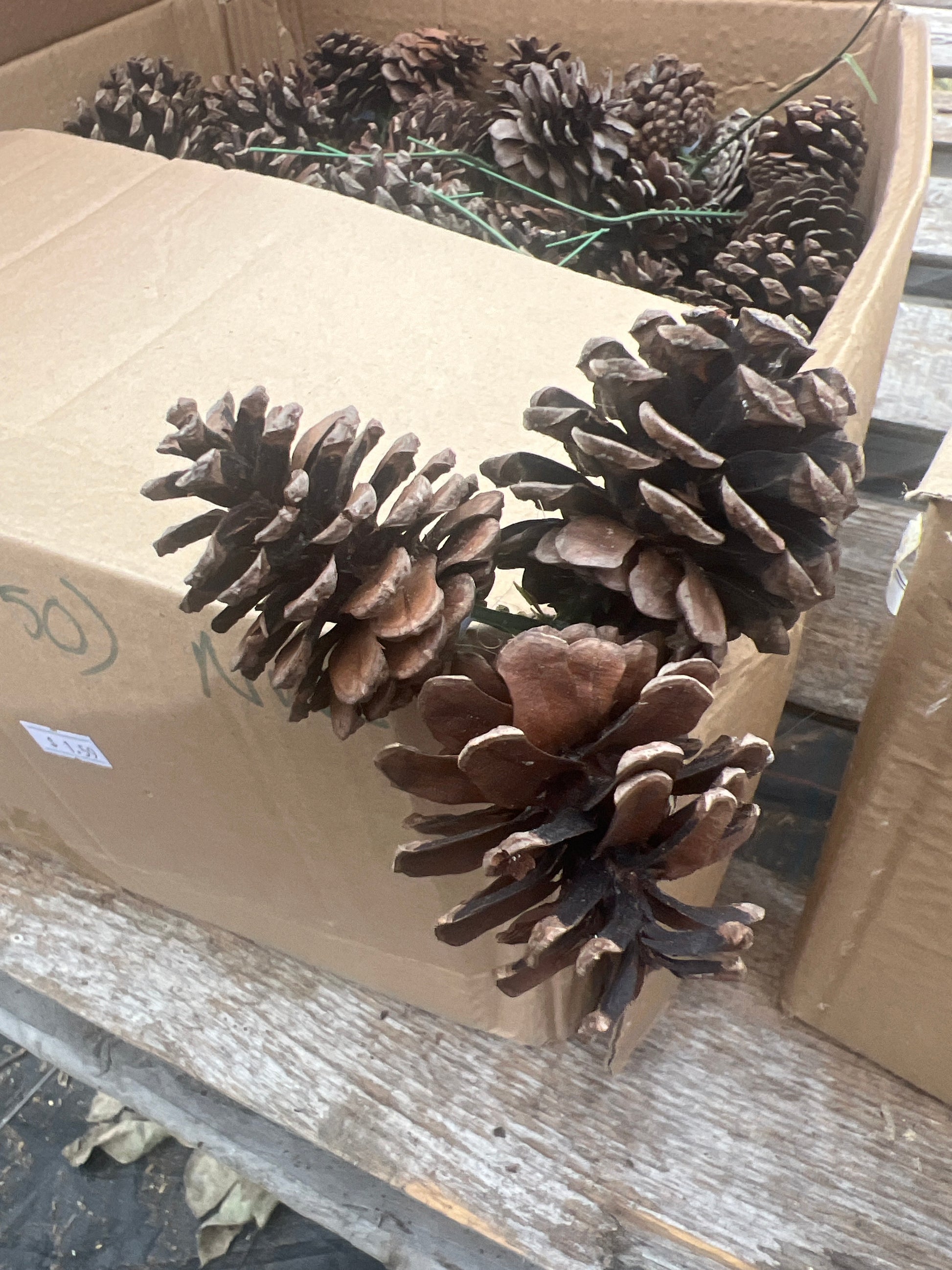 3 cone pick- natural