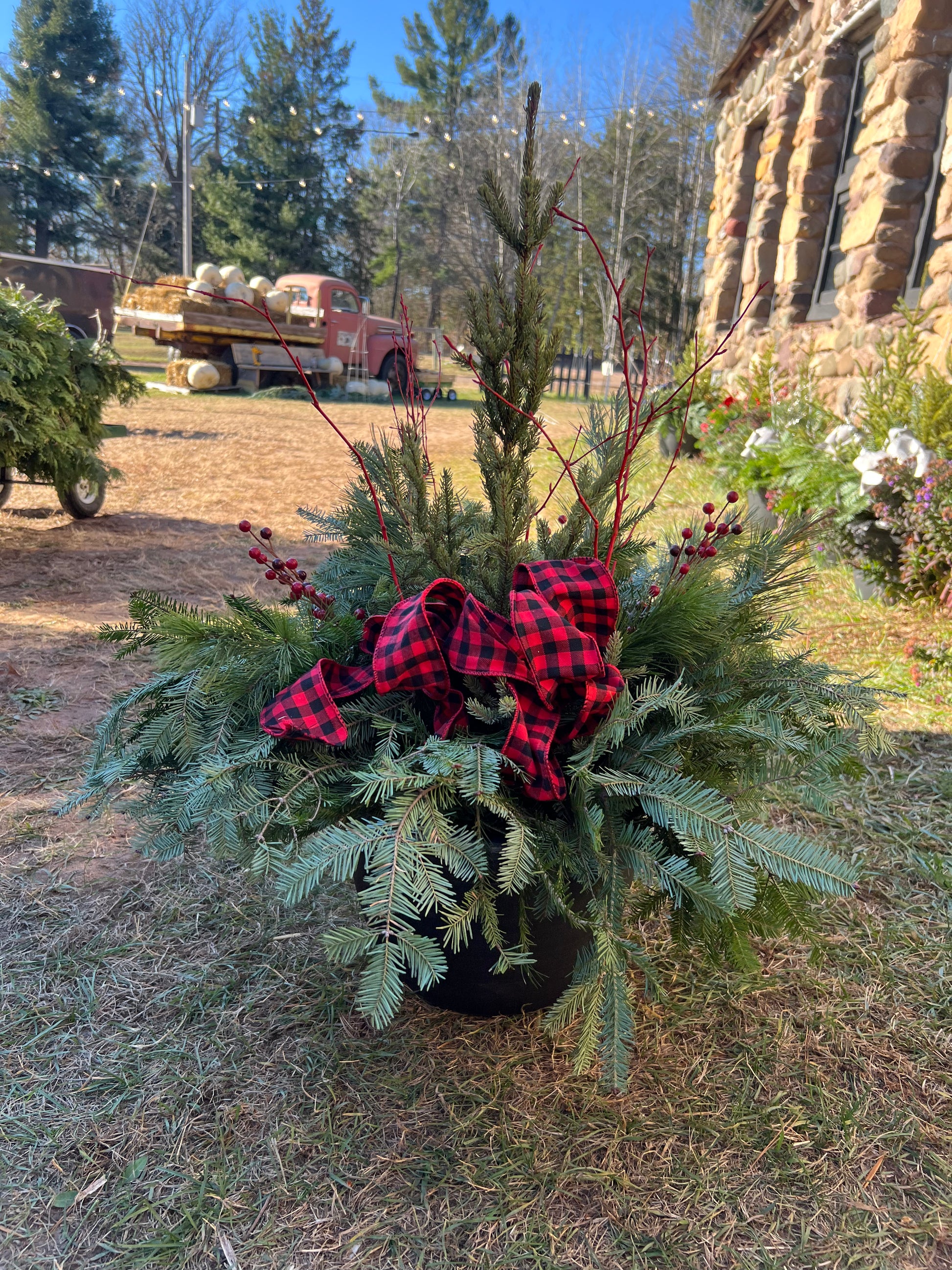 Workshop Day! November 28, 2025 (Black Friday)