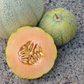 Minnesota Midget Cantaloupe Plant