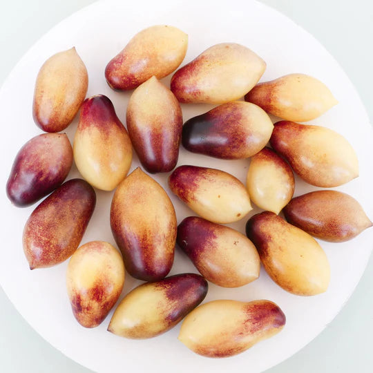 Bubblegum Centiflor Tomato Plant