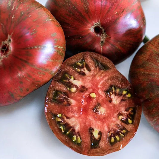 Berkeley Tie-Die Tomato Plant
