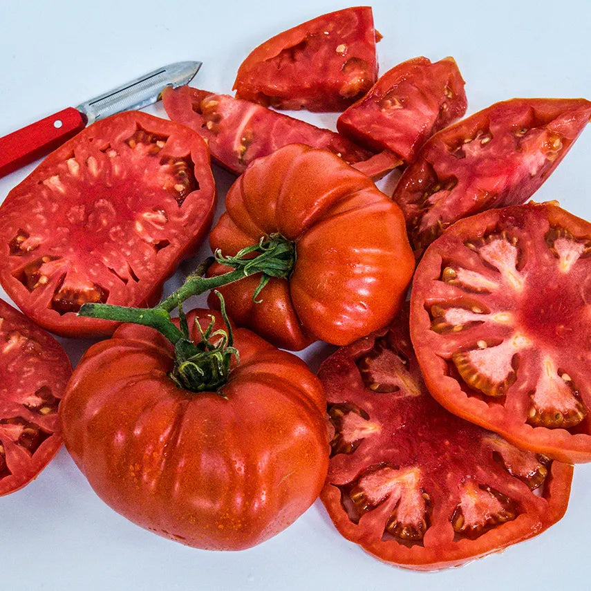 Beefsteak Tomato Plant