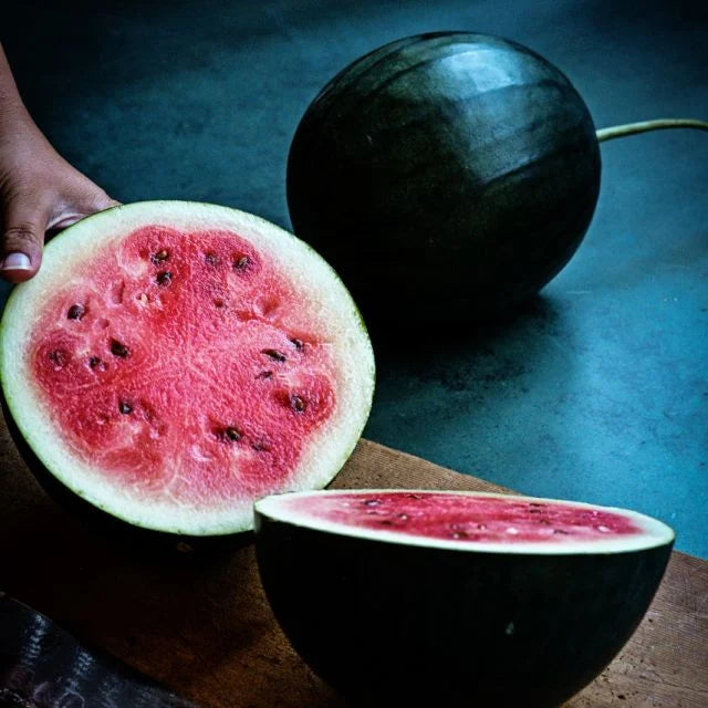 Melon - Blacktail Mountain Watermelon