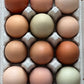 Pastured Eggs (1 dozen)