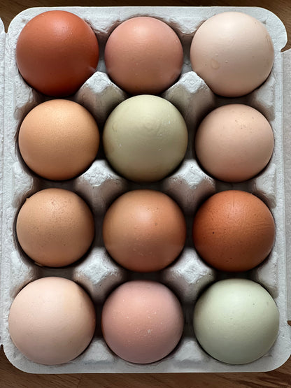 Pastured Eggs (1 dozen)