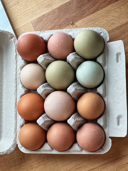 Free-Range / Pastured Eggs (1 dozen)