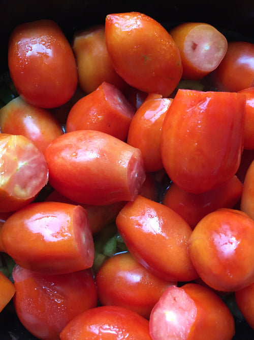 Amish Paste Tomato Plant