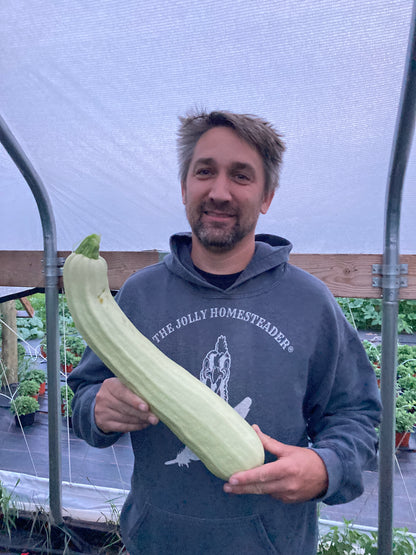 Zucchini - Long White Italian Palermo Plant