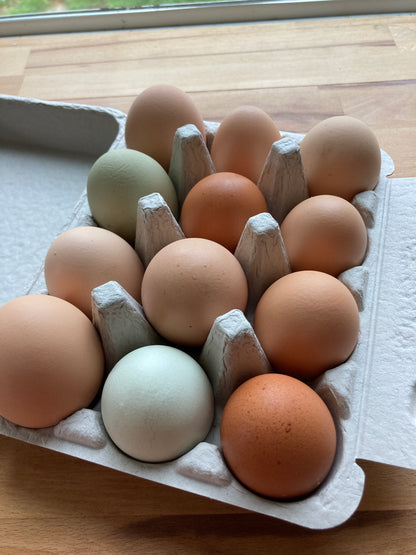 Pastured Eggs (1 dozen)