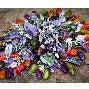 Jigsaw HOT Pepper Plant