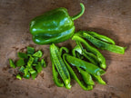 Ozark Giant Bell Pepper