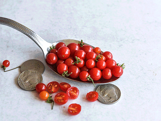 Spoon Tomato Plant