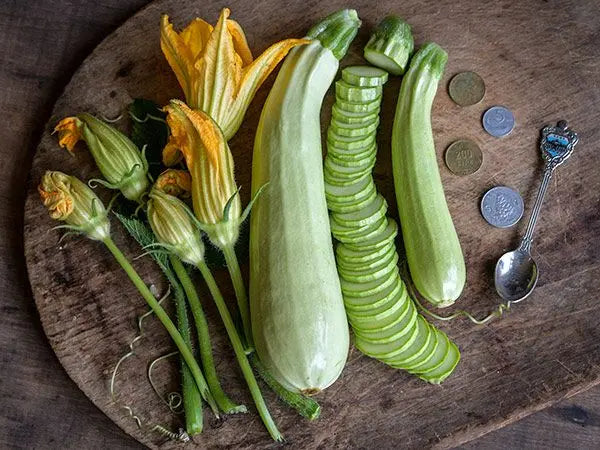Zucchini - Long White Italian Palermo Plant