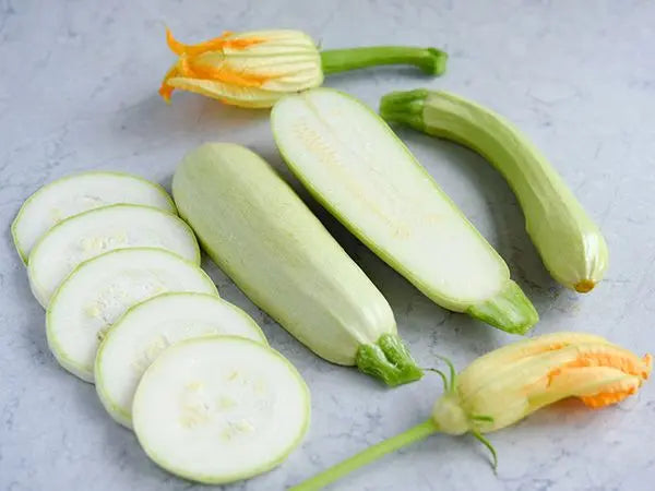 Zucchini - Long White Italian Palermo Plant