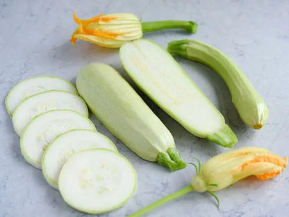 Zucchini - Long White Italian Palermo Plant